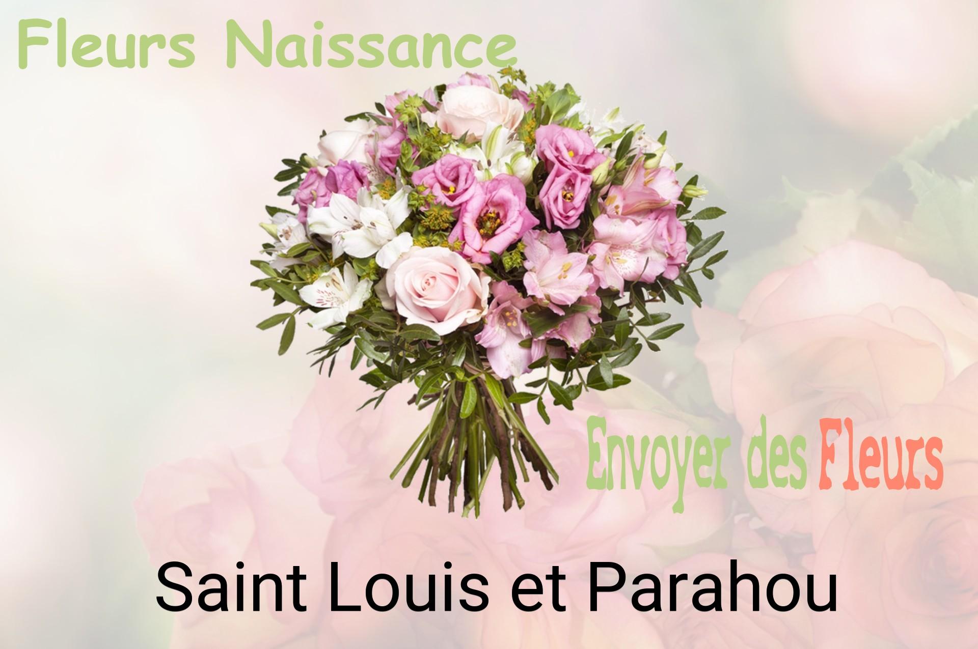 Bouquet de fleurs de naissance livré à Saint-Louis-et-Parahou